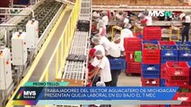 TRABAJADORES DEL SECTOR AGUACATERO DE MICHOACÁN PRESENTAN QUEJA LABORAL