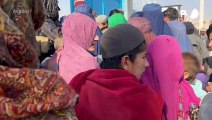 Mais de 500 mil afegãos deixaram o Paquistão desde setembro