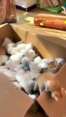 The most beautiful and sweetest gift