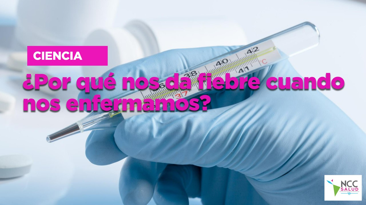 ¿Por qué nos da fiebre cuando nos enfermamos?