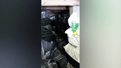 Sobe para 22 toneladas quantidade de cocaína apreendida na costa do Equador