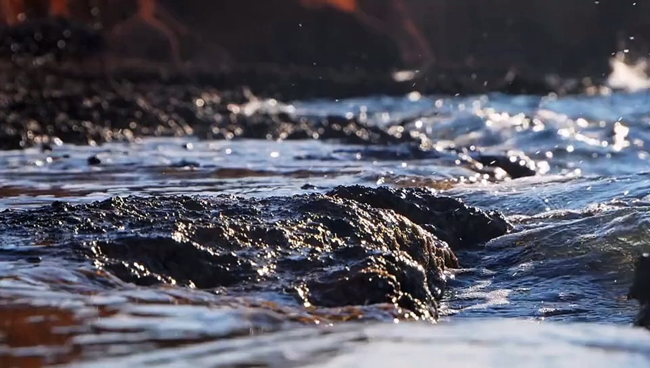 182970 (540p)