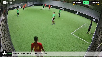 But de Lucas Sykora - VERTS GALANT