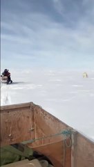 Ils évitent un ours de justesse