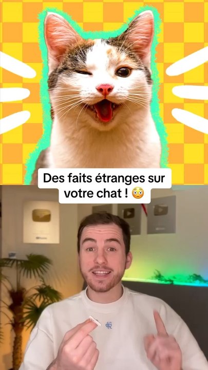 Des faits étranges sur votre chat !