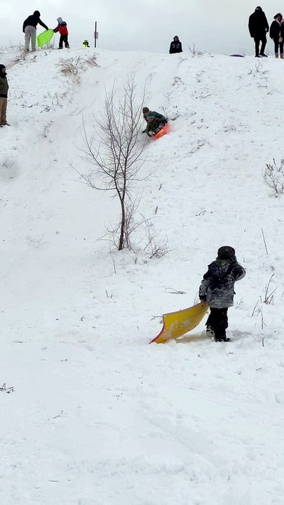 Dad Steers The Sled