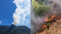 Vídeos: así se ve el incendio en los cerros orientales, desde distintas zonas de Bogotá