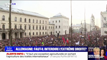 LA BANDE PREND LE POUVOIR - Allemagne: faut-il interdire l'extrême droite?