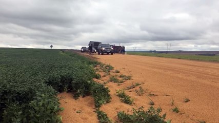 Carreta carregada com soja tomba e espalha carga na PR-486