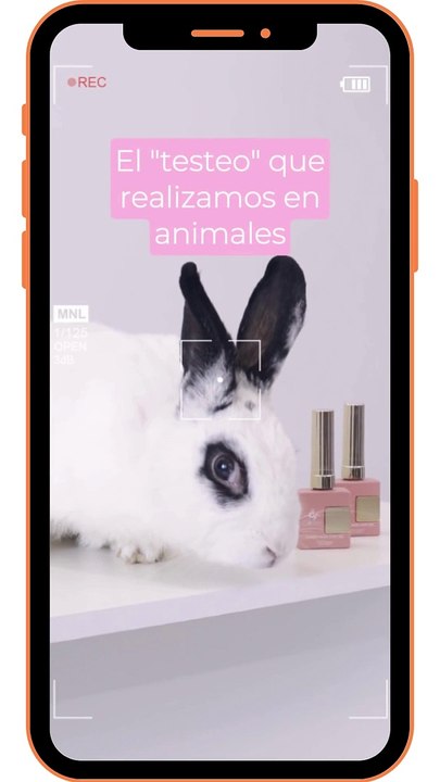 CONEJO 1