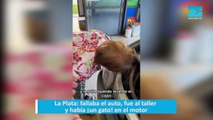 La Plata: fallaba el auto, fue al taller y había ¡un gato! en el motor