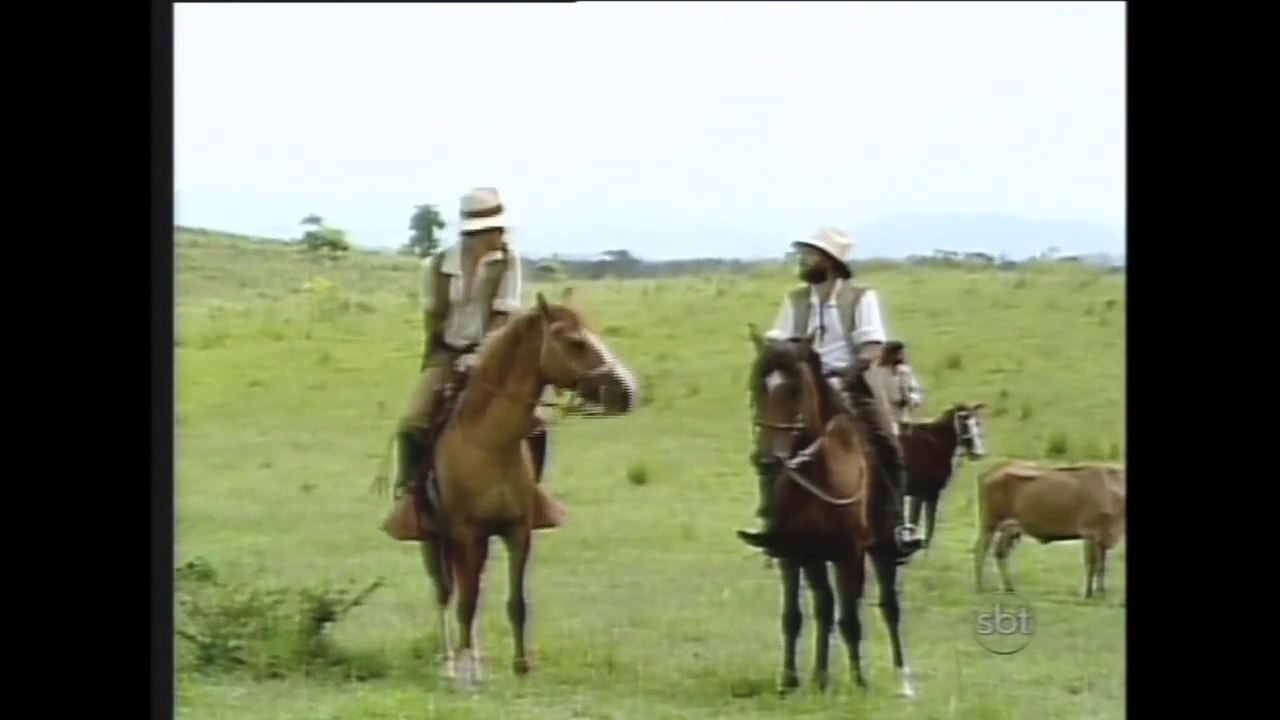 Dona Beija - Capítulo 24