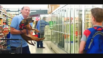 Adventures of Jurassic Pet 2019 Full Movie Recap