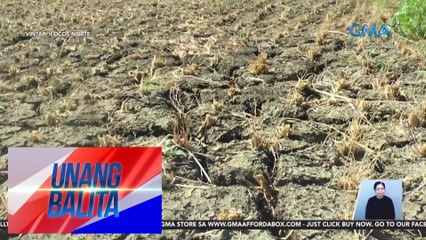 Ilang sakahan, nagkabitak-bitak na dahil sa mainit na panahon | UB