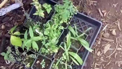 The Magikal RV Tour part 46          4 hour documentary