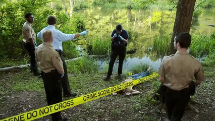 ID DISCOVERY - SEGREDOS DO PÂNTANO  - VICIO MORTAL - T2 EP9