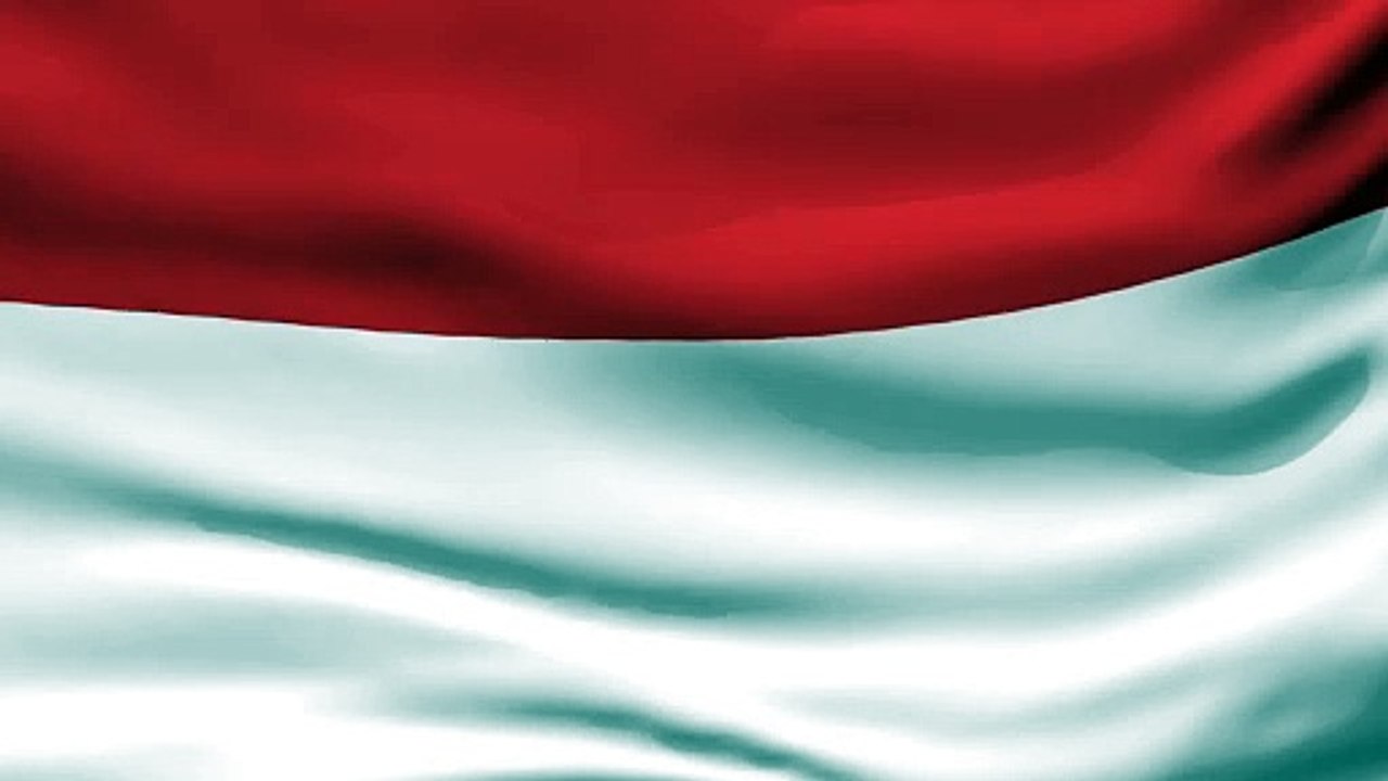 Indonesian flag