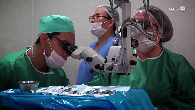 Advierten sobre mitos para el cuidado de los ojos