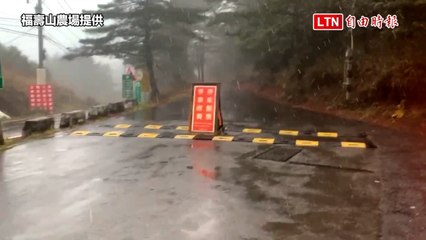 台中福壽山天池今晨飄雪，寒流來襲引發美景❄️