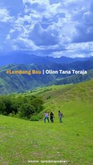 Hijau Banget Ini Wisata Bukit Ollon Tana Toraja!!