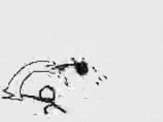 petite animation marrante