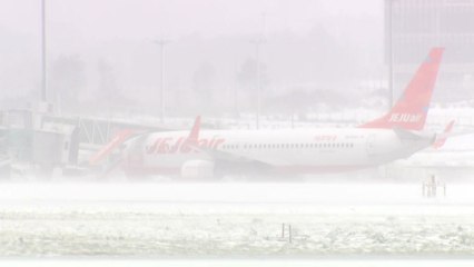 폭설에 제주공항 출·도착 2백여 편 무더기 결항 / YTN