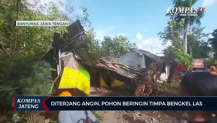 Diterjang Angin Kencang, Pohon Beringin Timpa Bengkel Las