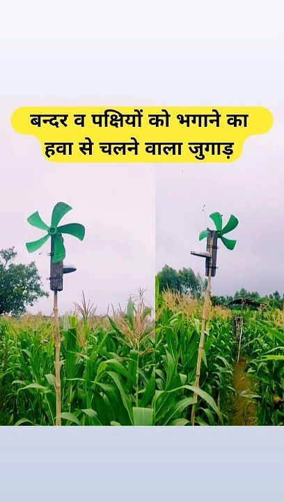 हवा से चलने वाला देसी जुगाड़ | देसी जुगाड़ | बन्दर व पक्षियों को भगाएं बिल्कुल फ्री