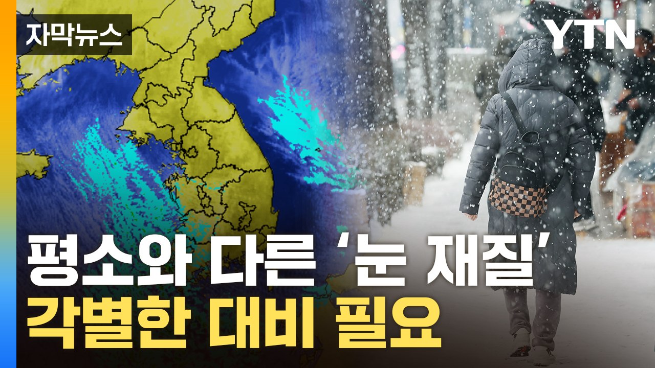 [자막뉴스] 시설물 붕괴될 수도...'이번 눈' 유독 위험한 이유 / YTN