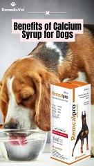Benefits of Calcium Syrup for Dogs