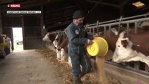 Les agriculteurs inquiets pour leur avenir : le portrait d'un producteur de lait