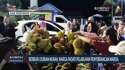 Warga Padati Pelabuhan Penyebrangan Marisa Untuk Berburu Durian Murah