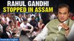 Bharat Jodo Nyay Yatra Faces Challenges in Assam| Rahul Moves to Meghalaya| Oneindia News
