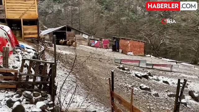 Artvin'de küçükbaş hayvanlarda çiçek hastalığı alarmı