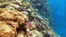 Once in Dahab