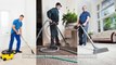 The Ultimate Guide to Choosing the Right Carpet Cleaner: Expert Tips and Insights