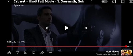 Police Politicians Public