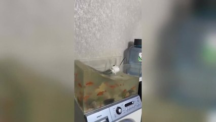 중국 신장에 규모 7.1 지진...3명 부상·사망 보고 안 돼 / YTN