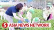 Vietnam News | Vegetables in the sky