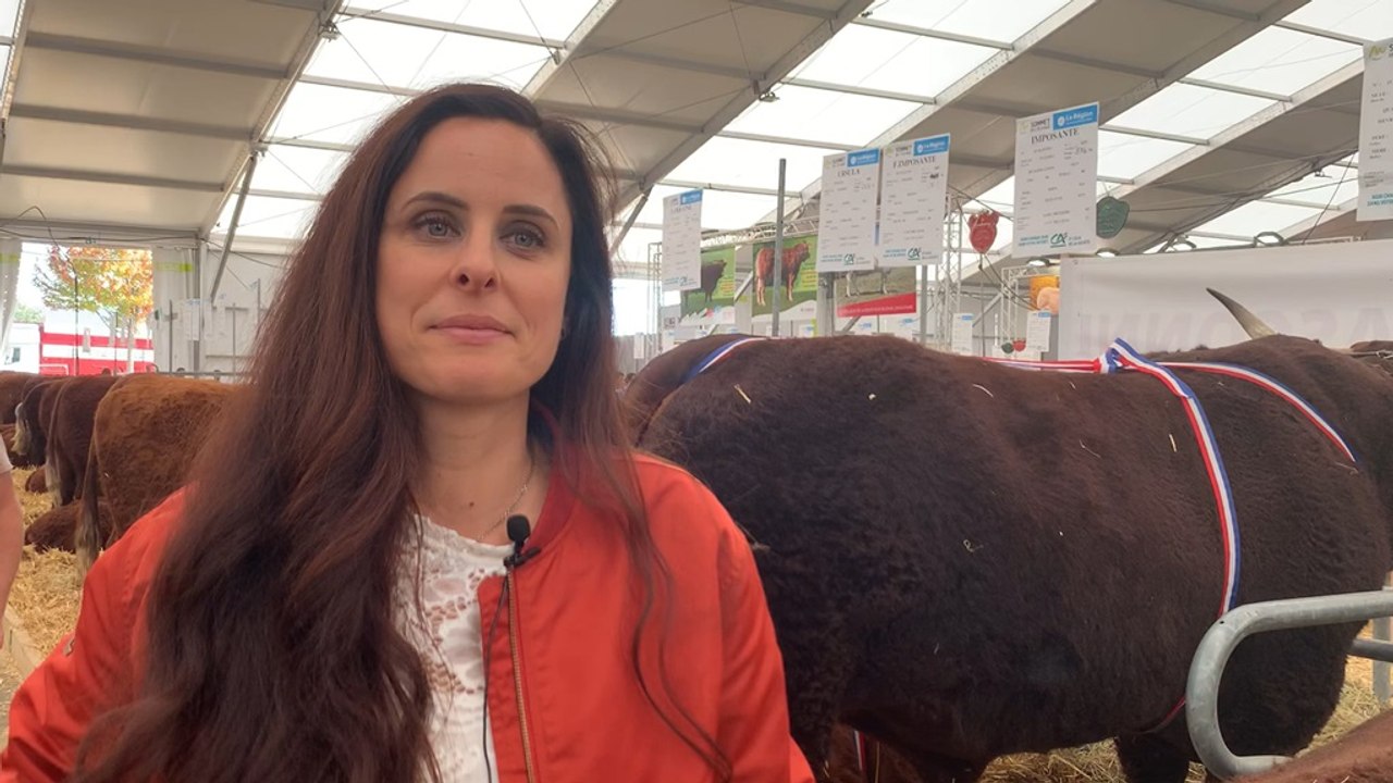 Pauline Garcia donne ses conseils pour préparer ses bovins aux concours