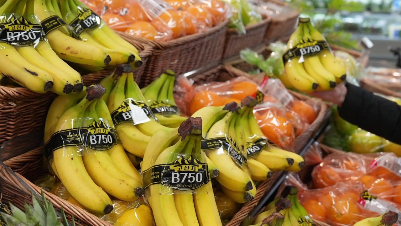 [기업] 롯데마트, 수입 과일 할인 행사..."물가안정 동참" / YTN