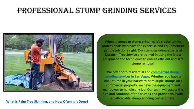 Quality Stump Grinding and Stump Removal in Las Vegas - Request a Free Estimate