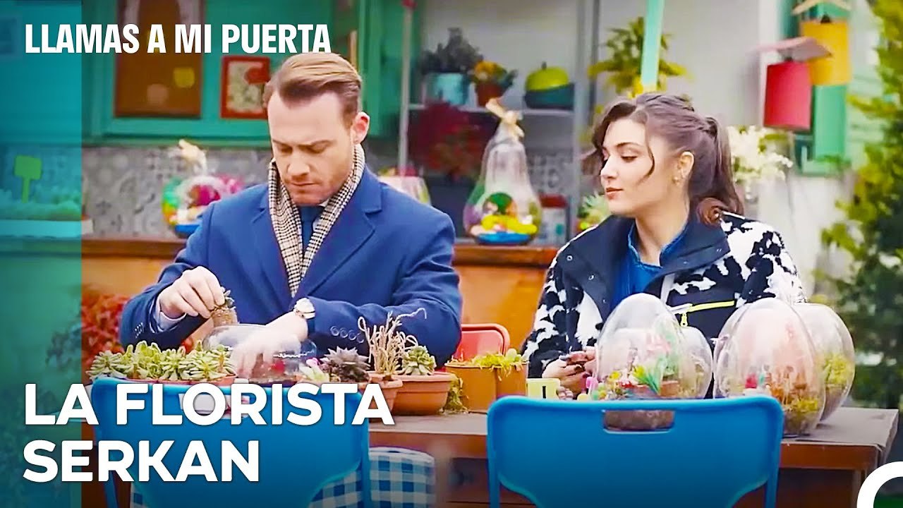 Que Los Amantes Preparen Flores Para Sus Seres Queridos  - Llamas A Mi Puerta