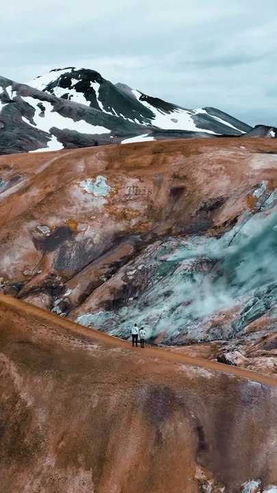 The raw outdoors. Iceland_ please adopt me_ ✌️___naturelovers _outdoorslife _visiticeland _icelandnature(MP4)
