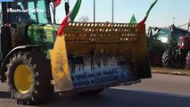 Verona, protesta agricoltori: 100 trattori al mercato ortofrutticolo