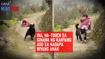 下载视频: Ina, na-touch sa ginawa ng kanyang aso sa nadapa niyang anak | GMA Integrated Newsfeed