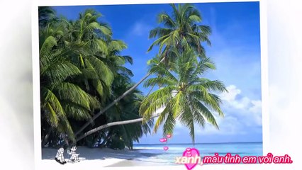 Một trái tim, một tình yêu - Sỹ Đan