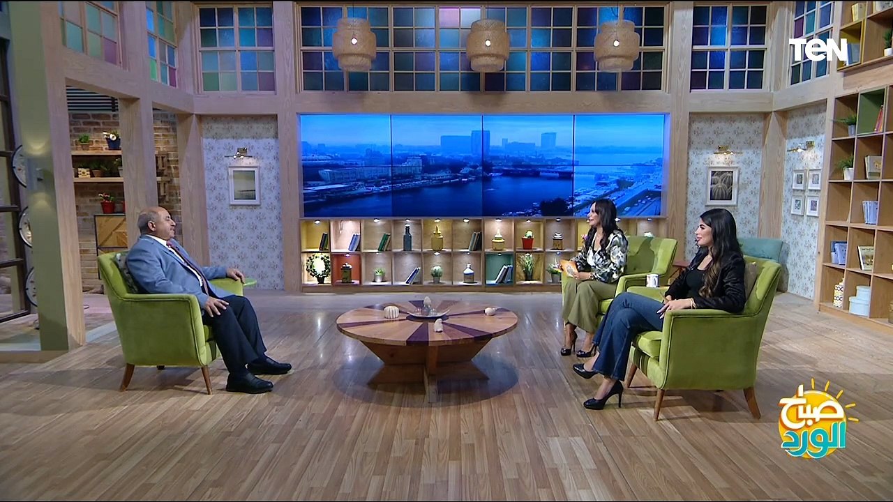 الطاقة النووية في مصر مع د. علي عبد النبي نائب رئيس هيئة المحطات النووية سابقاً