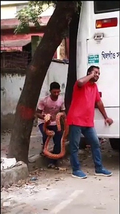 KING_COBRA_SNAKE_PRANK_ON_GRANDPA_Part_60_!__EM...