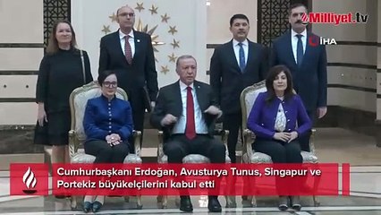 Cumhurbaşkanı Erdoğan büyükelçileri kabul etti